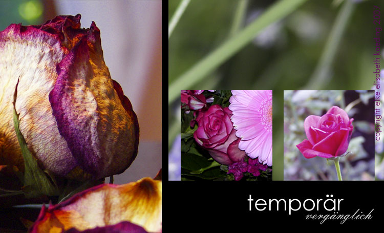 collage temporär - vergänglich, copyright elke elisabeth kaeding